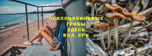 герыч Балахна