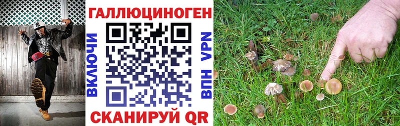 Галлюциногенные грибы Magic Shrooms  Колпашево 